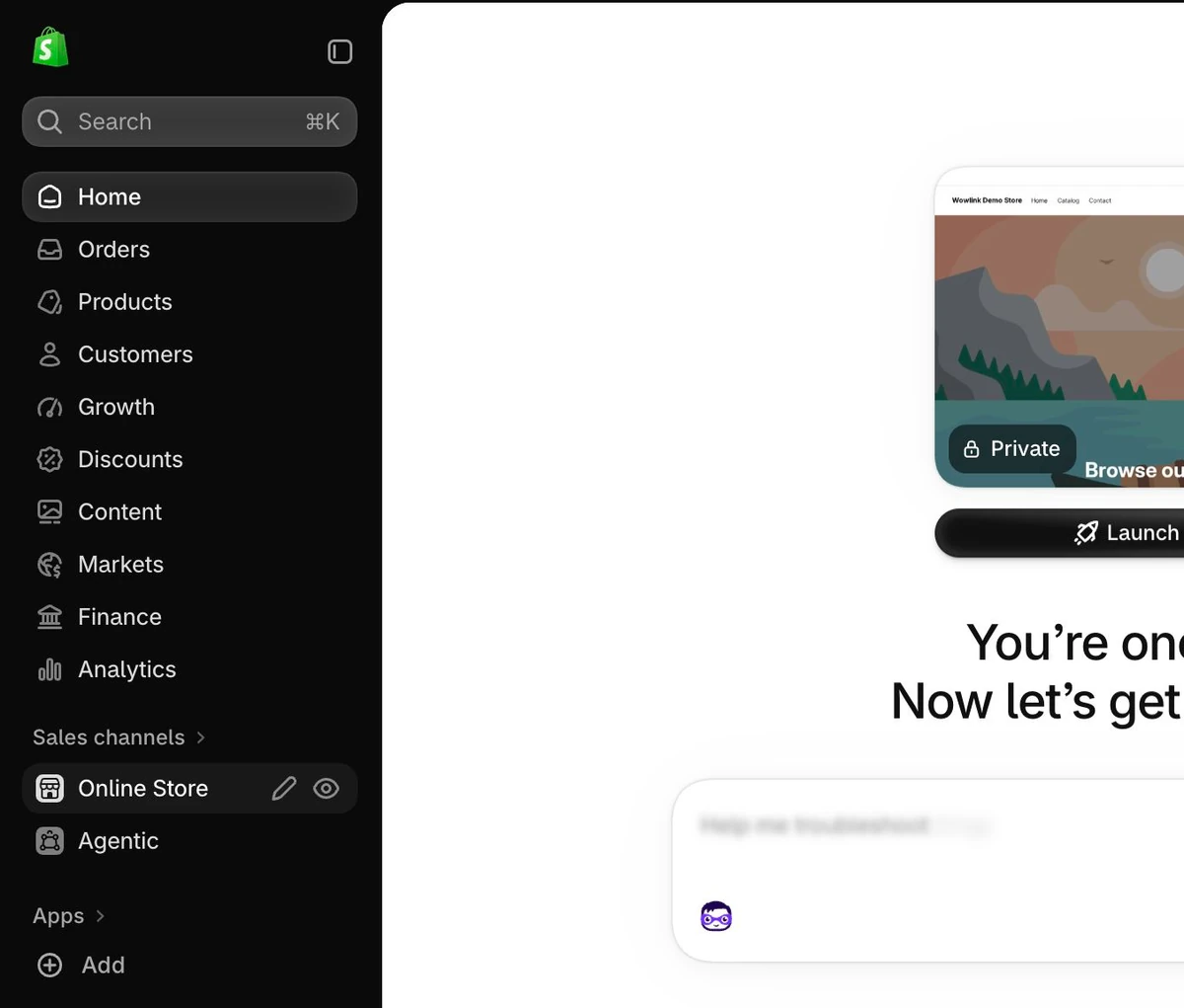 Shopify admin sidebar: Online Store under Sales channels